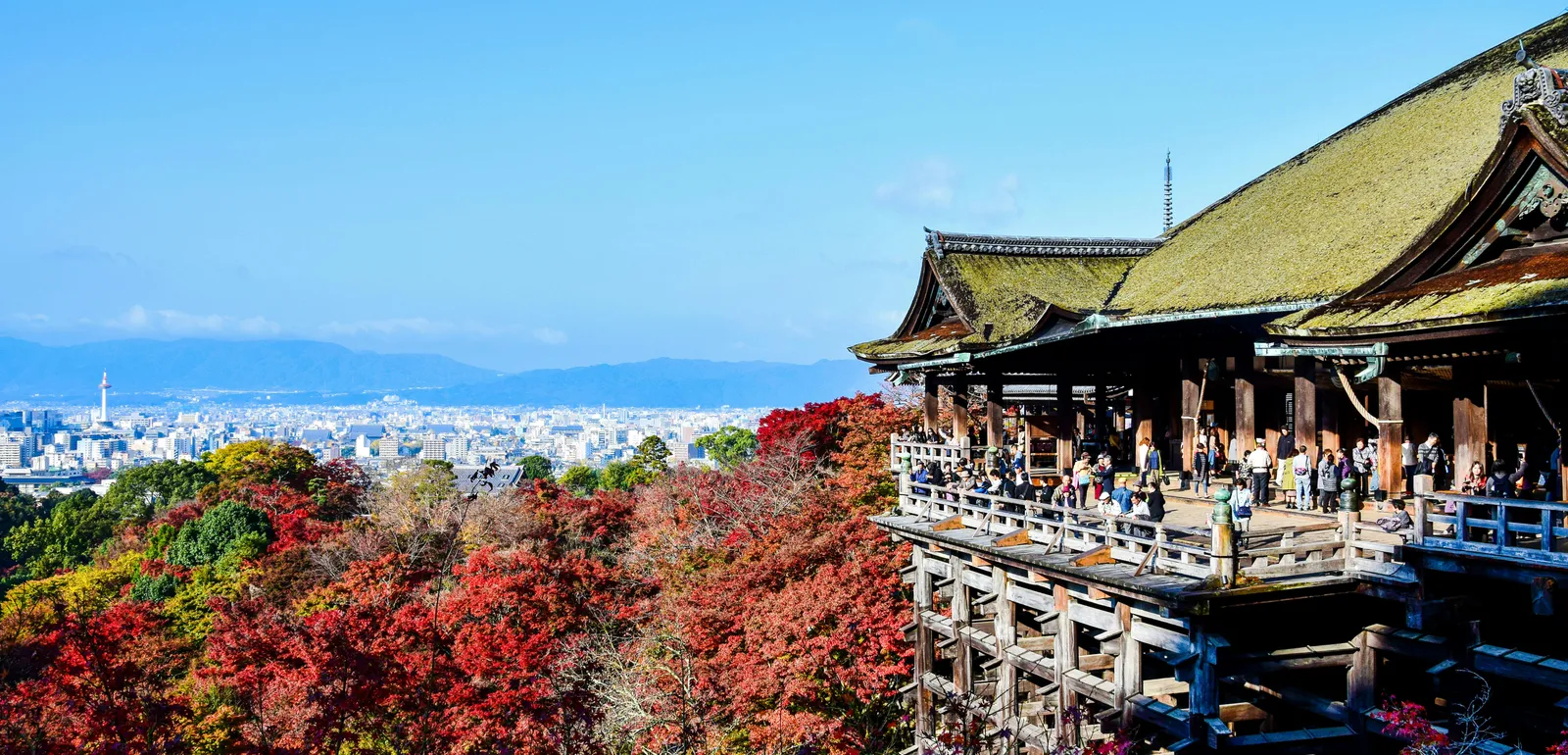 Asian Temple Among Trees in Kyoto