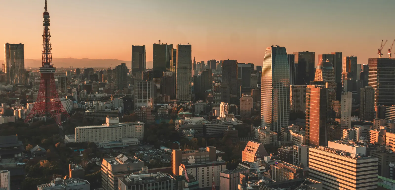 Cityscape of Tokyo at Sunset